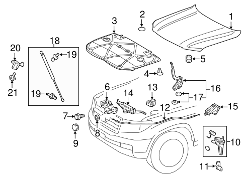 BODY/HOOD & COMPONENTS for 2013 Toyota Land Cruiser #1