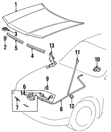 BODY/HOOD & COMPONENTS for 1996 Toyota Paseo #1