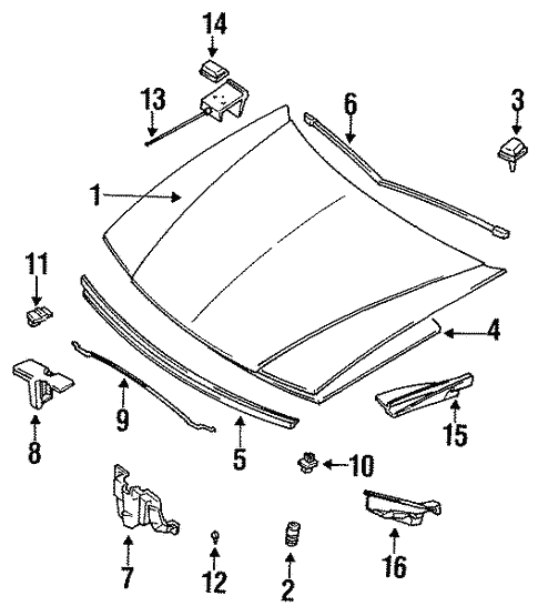 Hood & Components for 1990 Subaru Legacy #0
