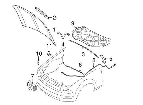 Body/Hood & Components for 2006 Ford Mustang #1