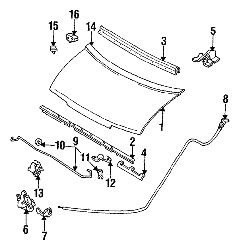 Hood & Components for 1989 Mazda MPV #0