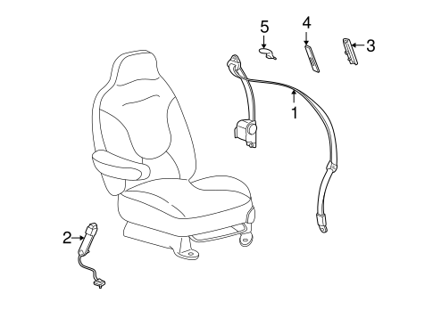 Blackwood FRONT SEAT BELTS
