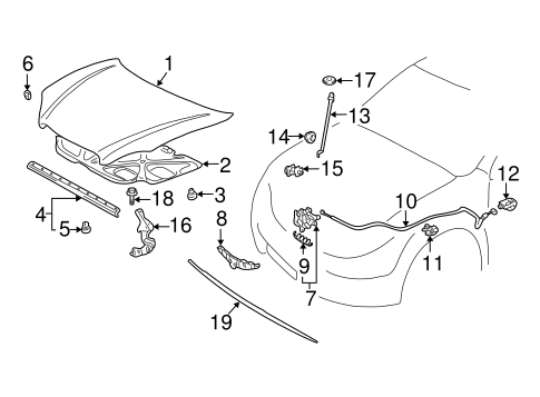BODY/HOOD & COMPONENTS for 2006 Toyota Corolla #1