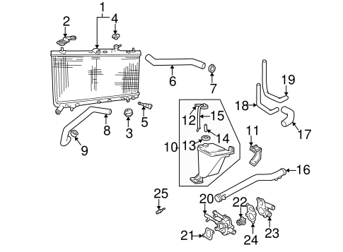 Cooling System/Radiator & Components for 2004 Hyundai Accent #1