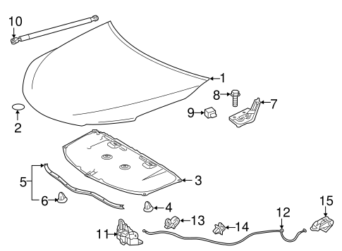 BODY/HOOD & COMPONENTS for 2016 Toyota Camry #1