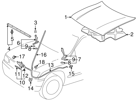 BODY/HOOD & COMPONENTS for 1996 Toyota Tacoma #1