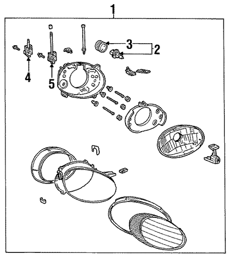 Sable BULBS - CHASSIS 2