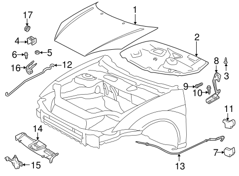 Body/Hood & Components for 2001 Ford Focus #1