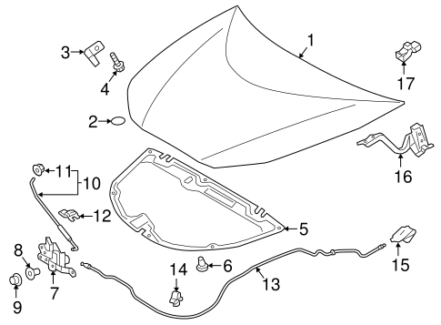BODY/HOOD & COMPONENTS for 2016 Toyota Prius #1