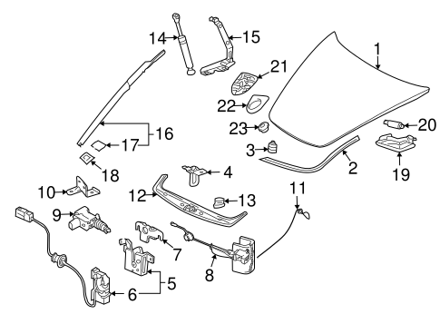 911 EXTERIOR TRIM - HOOD