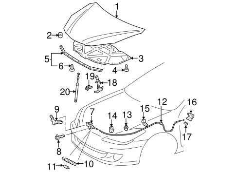 BODY/HOOD & COMPONENTS for 2008 Toyota Solara #1