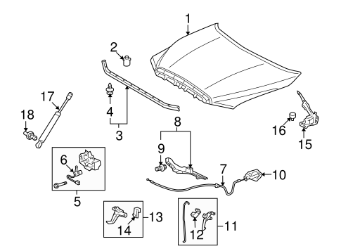BODY/HOOD & COMPONENTS for 2011 Toyota Sequoia #1