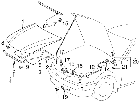 BODY/HOOD & COMPONENTS for 2001 Toyota Corolla #1