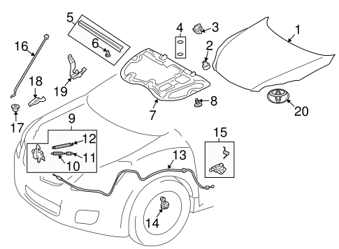 BODY/HOOD & COMPONENTS for 2013 Toyota Matrix #1