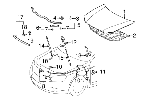 BODY/HOOD & COMPONENTS for 2005 Toyota Avalon #1