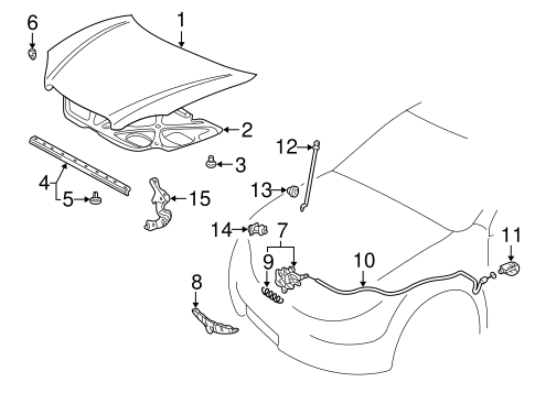 BODY/HOOD & COMPONENTS for 2006 Toyota Matrix #1