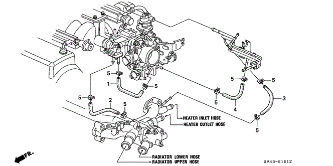 ENGINE/WATER HOSE (V6) for 1995 Honda ACCORD SEDAN #1