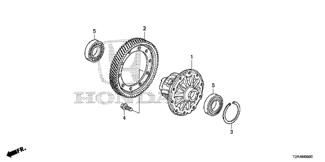 Transmission - Manual/MT Differential for 2014 Honda ACCORD SEDAN #1