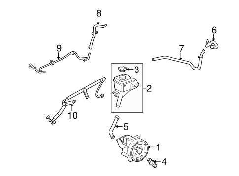 Fusion PUMP & HOSES