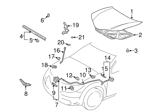 Vibe HOOD & COMPONENTS