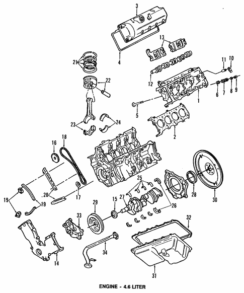 Engine/Oil Cooler for 2000 Ford Crown Victoria #1