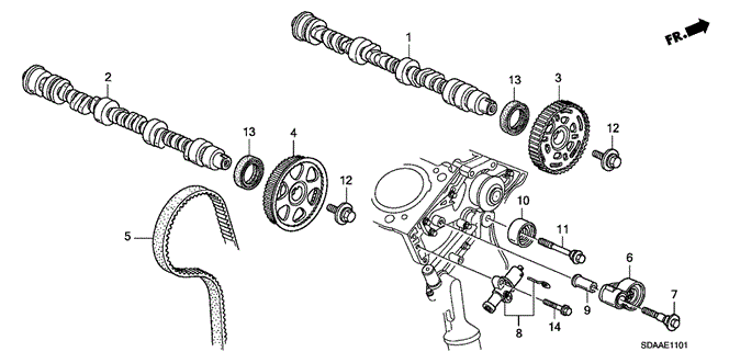 Engine/Camshaft - Timing Belt (V6) for 2007 Honda ACCORD SEDAN #1