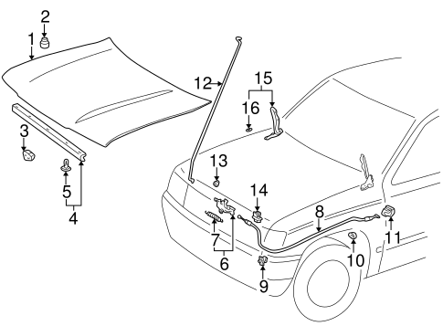 BODY/HOOD & COMPONENTS for 1996 Toyota 4Runner #1