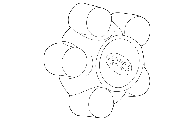 DTC100810 Деталь CENTER CAP