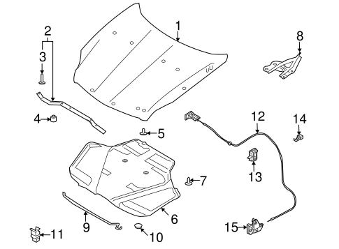Hood & Components for 2005 Infiniti G35 #0