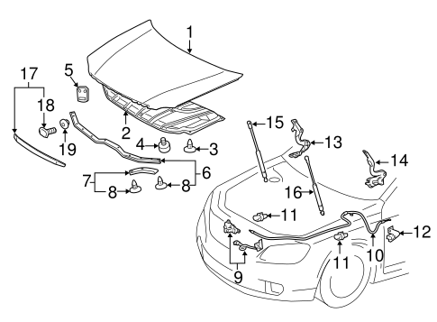 BODY/HOOD & COMPONENTS for 2012 Toyota Avalon #1