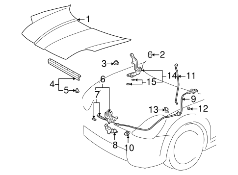 BODY/HOOD & COMPONENTS for 2004 Toyota MR2 Spyder #1