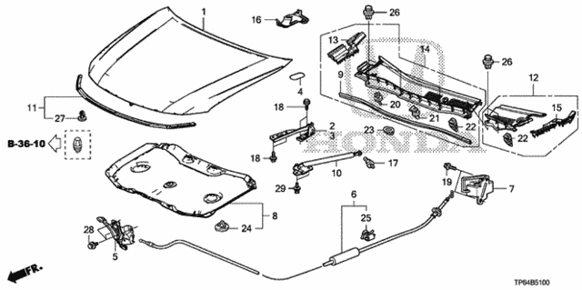 Engine Hood for 2011 Honda Accord Crosstour #0