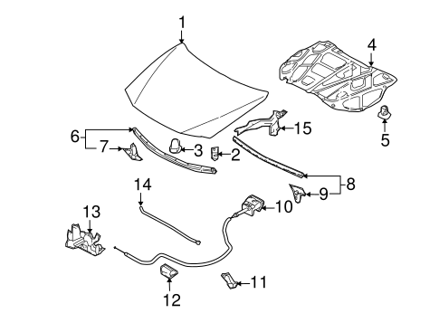 Hood & Components for 2010 Mazda 5 #0