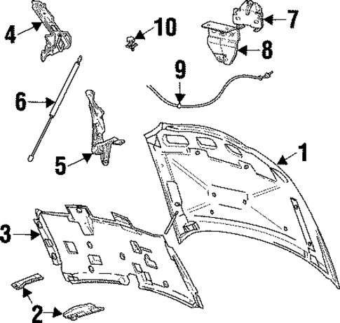 Sable HOOD & COMPONENTS