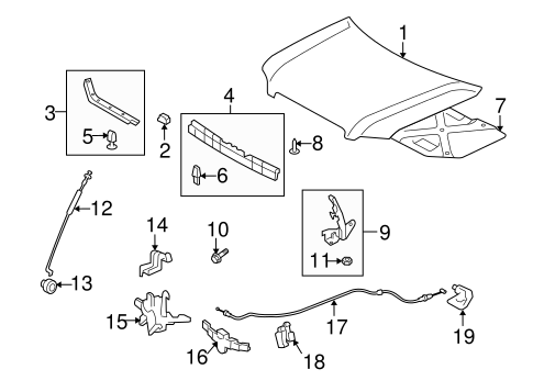 BODY/HOOD & COMPONENTS for 2006 Toyota Highlander #1
