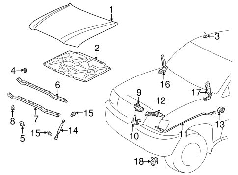 BODY/HOOD & COMPONENTS for 2004 Toyota Land Cruiser #1