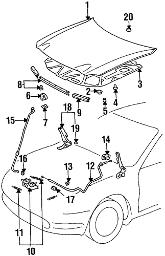 BODY/HOOD & COMPONENTS for 1996 Toyota Celica #1