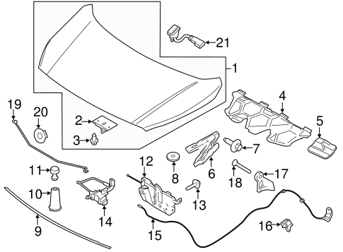 Body/Hood & Components for 2016 Ford Transit Connect #1