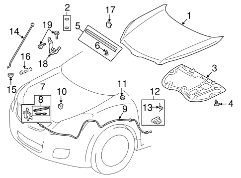 Vibe HOOD & COMPONENTS