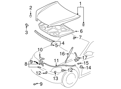 BODY/HOOD & COMPONENTS for 2004 Toyota Camry #1