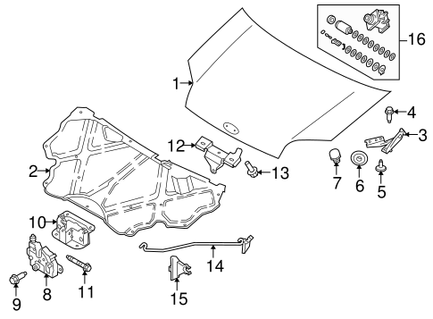 Body/Hood & Components for 2013 Ford Transit Connect #1