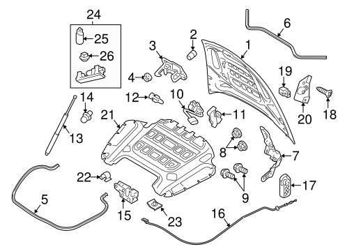 Panamera HOOD & COMPONENTS