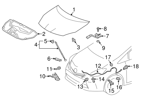 BODY/HOOD & COMPONENTS for 2016 Toyota Prius V #1