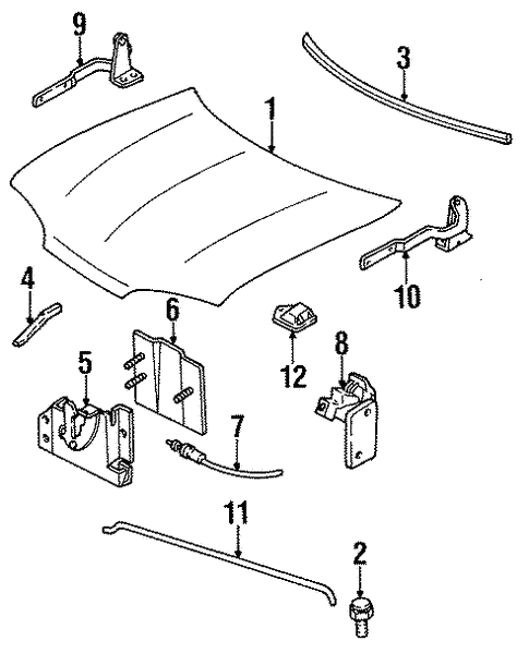 Body/Hood & Components for 1997 Ford Contour #1
