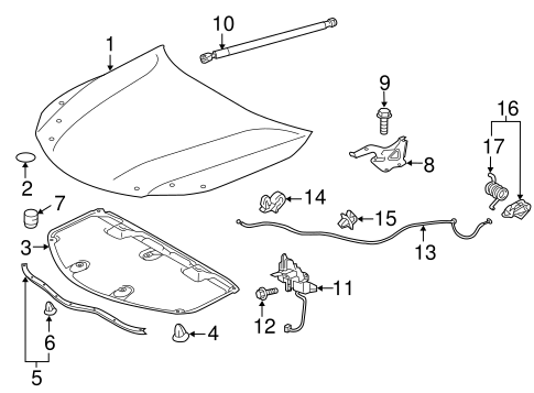 BODY/HOOD & COMPONENTS for 2016 Toyota Avalon #1