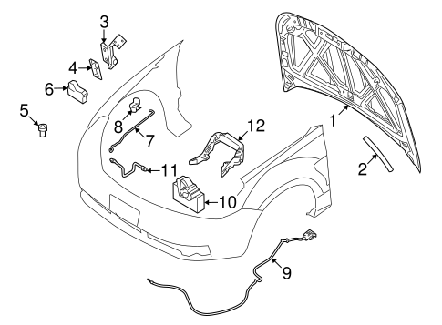 Body/Hood & Components for 2011 Ford Focus #1
