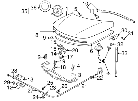 9-5 EXTERIOR TRIM - HOOD