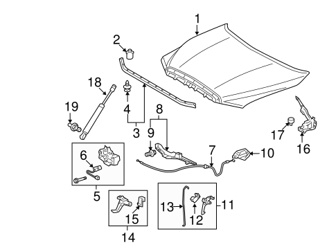 BODY/HOOD & COMPONENTS for 2013 Toyota Tundra #1