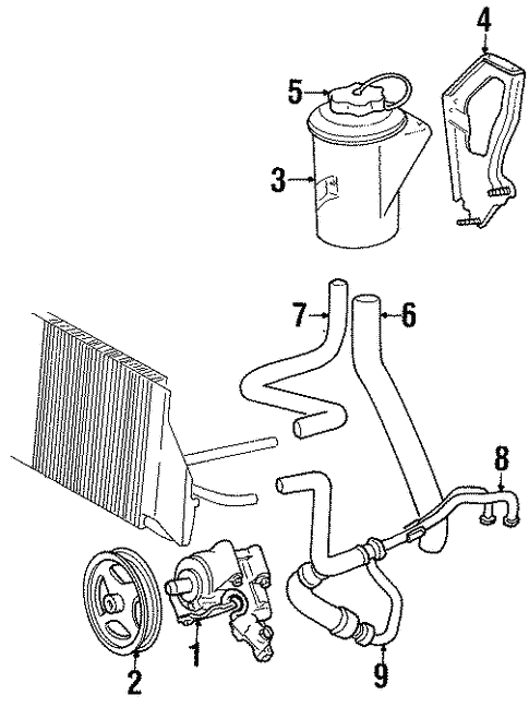 Pump & Hoses for 2002 Ford Crown Victoria #0