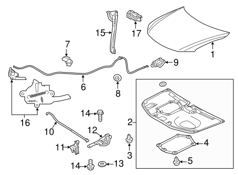 BODY/HOOD & COMPONENTS for 2012 Scion tC #1